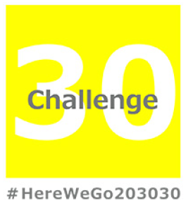 画像：challenge203030％