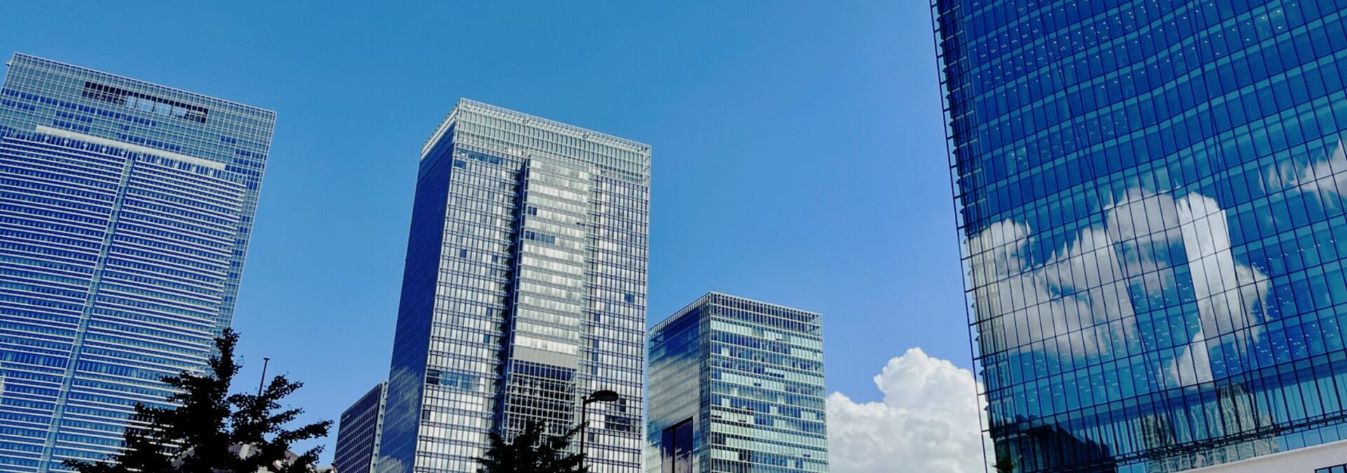 画像：企業・グループ情報